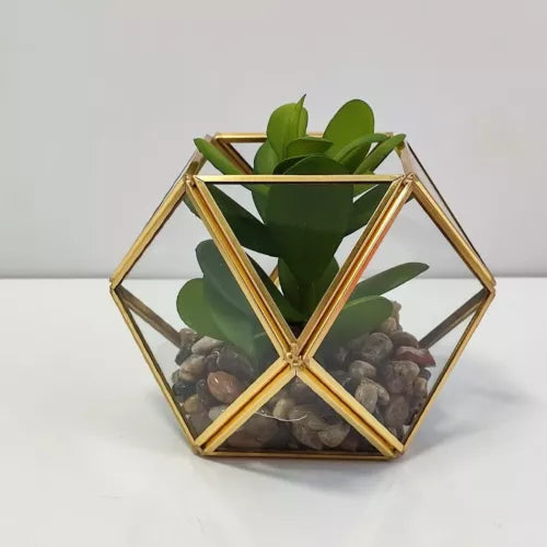 Opalhouse Artificial Indoor Succulent Plant with Filled Brass Terrarium 5" x 4"