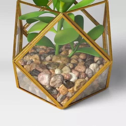 Opalhouse Artificial Indoor Succulent Plant with Filled Brass Terrarium 5" x 4"