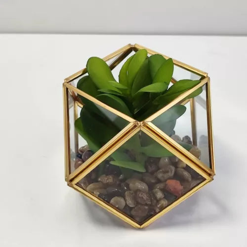 Opalhouse Artificial Indoor Succulent Plant with Filled Brass Terrarium 5" x 4"