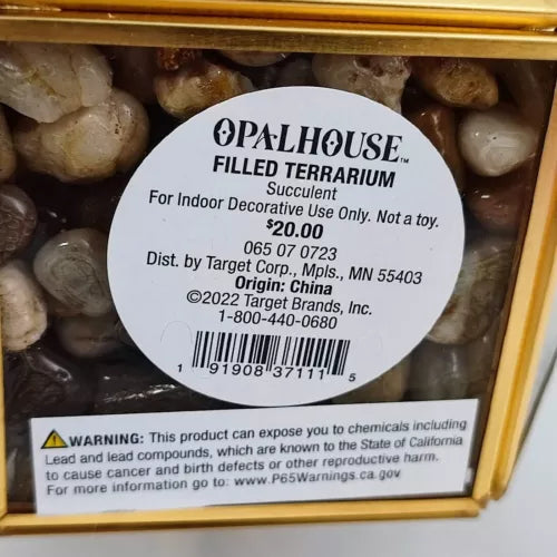 Opalhouse Artificial Indoor Succulent Plant with Filled Brass Terrarium 5" x 4"