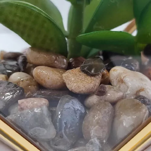 Opalhouse Artificial Indoor Succulent Plant with Filled Brass Terrarium 5" x 4"