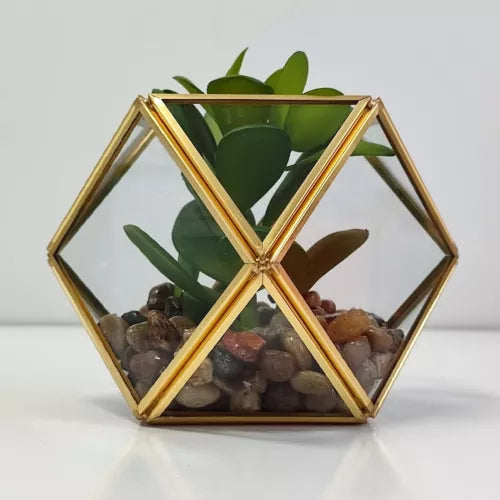 Opalhouse Artificial Indoor Succulent Plant with Filled Brass Terrarium 5" x 4"