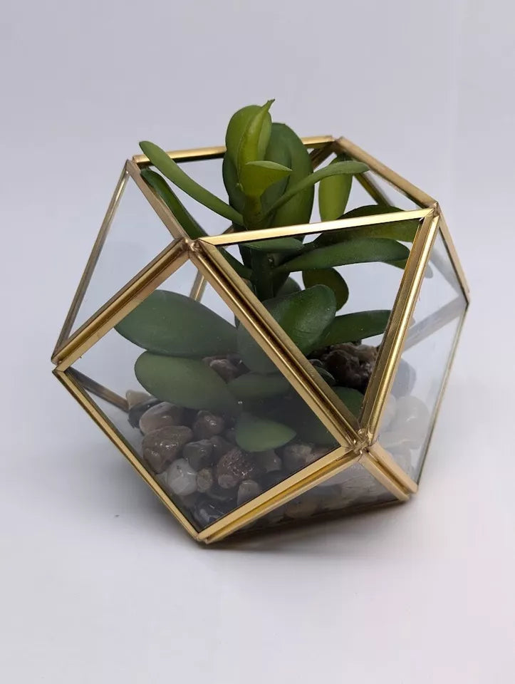 Opalhouse Artificial Indoor Succulent Plant with Filled Brass Terrarium 5" x 4"