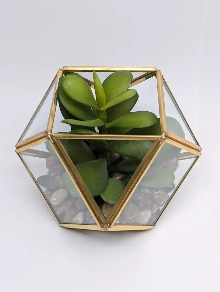 Opalhouse Artificial Indoor Succulent Plant with Filled Brass Terrarium 5" x 4"