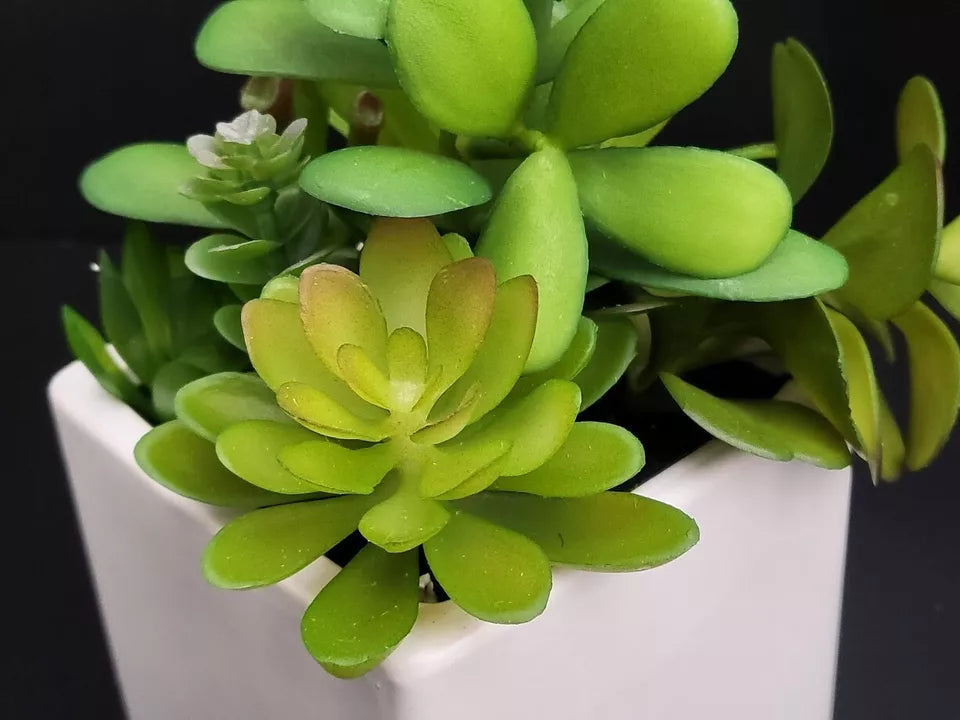 Lot of 2 - Cactus Artificial Succulent Fake Plants Ceramic White Planter Pot 4x4x7