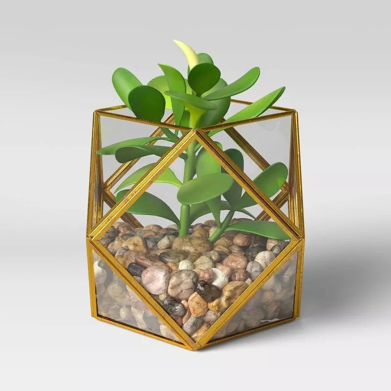 Opalhouse Artificial Indoor Succulent Plant with Filled Brass Terrarium 5" x 4"