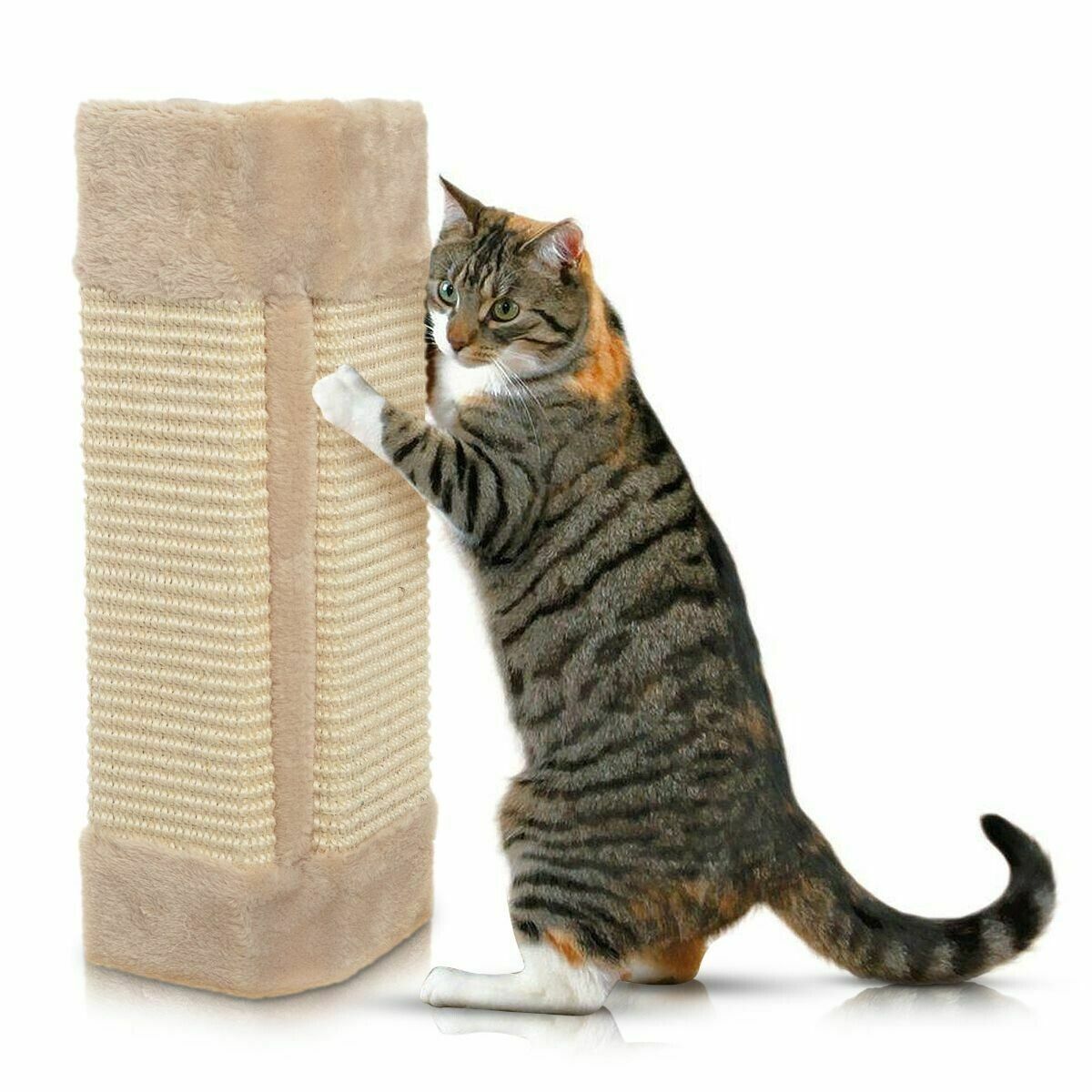 Cat wall post scratcher