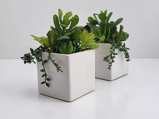 Lot of 2 - Cactus Artificial Succulent Fake Plants Ceramic White Planter Pot 4x4x7