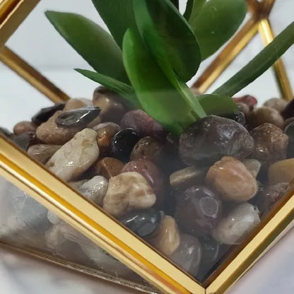 Opalhouse Artificial Indoor Succulent Plant with Filled Brass Terrarium 5" x 4"