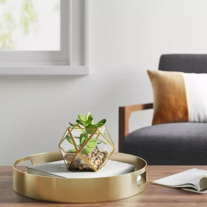 Opalhouse Artificial Indoor Succulent Plant with Filled Brass Terrarium 5" x 4"