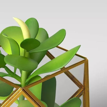 Opalhouse Artificial Indoor Succulent Plant with Filled Brass Terrarium 5" x 4"