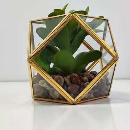 Opalhouse Artificial Indoor Succulent Plant with Filled Brass Terrarium 5" x 4"