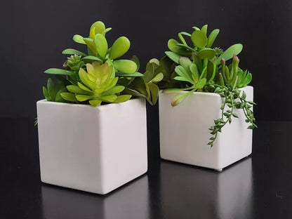 Lot of 2 - Cactus Artificial Succulent Fake Plants Ceramic White Planter Pot 4x4x7